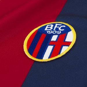 bologna-logo-2012[1]